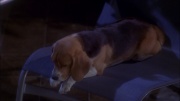 Filename=extant_StarTrek_ENT_1x25-TwoDaysAndTwoNights_0748.jpg
Filesize=149KiB
Dimensions=1920x1080
Date added=May 30, 2020 extant_StarTrek_ENT_1x25-TwoDaysAndTwoNights_0748.jpg