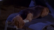 Filename=extant_StarTrek_ENT_1x25-TwoDaysAndTwoNights_0749.jpg
Filesize=155KiB
Dimensions=1920x1080
Date added=May 30, 2020 extant_StarTrek_ENT_1x25-TwoDaysAndTwoNights_0749.jpg