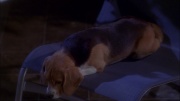 Filename=extant_StarTrek_ENT_1x25-TwoDaysAndTwoNights_0750.jpg
Filesize=170KiB
Dimensions=1920x1080
Date added=May 30, 2020 extant_StarTrek_ENT_1x25-TwoDaysAndTwoNights_0750.jpg
