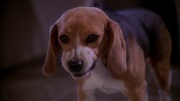 extant_StarTrek_ENT_1x25-TwoDaysAndTwoNights_0784.jpg