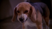 extant_StarTrek_ENT_1x25-TwoDaysAndTwoNights_0791.jpg