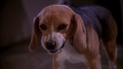 extant_StarTrek_ENT_1x25-TwoDaysAndTwoNights_0792.jpg