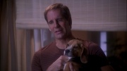 extant_StarTrek_ENT_1x25-TwoDaysAndTwoNights_0895.jpg