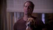 Filename=extant_StarTrek_ENT_1x25-TwoDaysAndTwoNights_0897.jpg
Filesize=219KiB
Dimensions=1920x1080
Date added=May 30, 2020 extant_StarTrek_ENT_1x25-TwoDaysAndTwoNights_0897.jpg