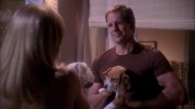 Filename=extant_StarTrek_ENT_1x25-TwoDaysAndTwoNights_0923.jpg
Filesize=228KiB
Dimensions=1920x1080
Date added=May 30, 2020 extant_StarTrek_ENT_1x25-TwoDaysAndTwoNights_0923.jpg