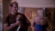 Filename=extant_StarTrek_ENT_1x25-TwoDaysAndTwoNights_0927.jpg
Filesize=209KiB
Dimensions=1920x1080
Date added=May 30, 2020 extant_StarTrek_ENT_1x25-TwoDaysAndTwoNights_0927.jpg