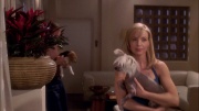 Filename=extant_StarTrek_ENT_1x25-TwoDaysAndTwoNights_0932.jpg
Filesize=238KiB
Dimensions=1920x1080
Date added=May 30, 2020 extant_StarTrek_ENT_1x25-TwoDaysAndTwoNights_0932.jpg