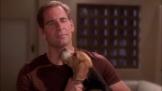 Filename=extant_StarTrek_ENT_1x25-TwoDaysAndTwoNights_0953.jpg
Filesize=201KiB
Dimensions=1920x1080
Date added=May 30, 2020 extant_StarTrek_ENT_1x25-TwoDaysAndTwoNights_0953.jpg