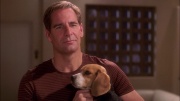 extant_StarTrek_ENT_1x25-TwoDaysAndTwoNights_0960.jpg