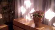Filename=extant_StarTrek_ENT_1x25-TwoDaysAndTwoNights_3302.jpg
Filesize=217KiB
Dimensions=1920x1080
Date added=May 30, 2020 extant_StarTrek_ENT_1x25-TwoDaysAndTwoNights_3302.jpg