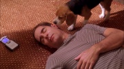 Filename=extant_StarTrek_ENT_1x25-TwoDaysAndTwoNights_3500.jpg
Filesize=348KiB
Dimensions=1920x1080
Date added=May 30, 2020 extant_StarTrek_ENT_1x25-TwoDaysAndTwoNights_3500.jpg