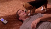 Filename=extant_StarTrek_ENT_1x25-TwoDaysAndTwoNights_3508.jpg
Filesize=321KiB
Dimensions=1920x1080
Date added=May 30, 2020 extant_StarTrek_ENT_1x25-TwoDaysAndTwoNights_3508.jpg