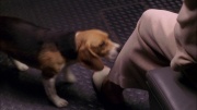 Filename=extant_StarTrek_ENT_1x25-TwoDaysAndTwoNights_3595.jpg
Filesize=204KiB
Dimensions=1920x1080
Date added=May 30, 2020 extant_StarTrek_ENT_1x25-TwoDaysAndTwoNights_3595.jpg
