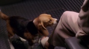 Filename=extant_StarTrek_ENT_1x25-TwoDaysAndTwoNights_3596.jpg
Filesize=210KiB
Dimensions=1920x1080
Date added=May 30, 2020 extant_StarTrek_ENT_1x25-TwoDaysAndTwoNights_3596.jpg