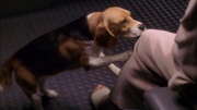Filename=extant_StarTrek_ENT_1x25-TwoDaysAndTwoNights_3597.jpg
Filesize=208KiB
Dimensions=1920x1080
Date added=May 30, 2020 extant_StarTrek_ENT_1x25-TwoDaysAndTwoNights_3597.jpg