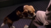 Filename=extant_StarTrek_ENT_1x25-TwoDaysAndTwoNights_3598.jpg
Filesize=212KiB
Dimensions=1920x1080
Date added=May 30, 2020 extant_StarTrek_ENT_1x25-TwoDaysAndTwoNights_3598.jpg