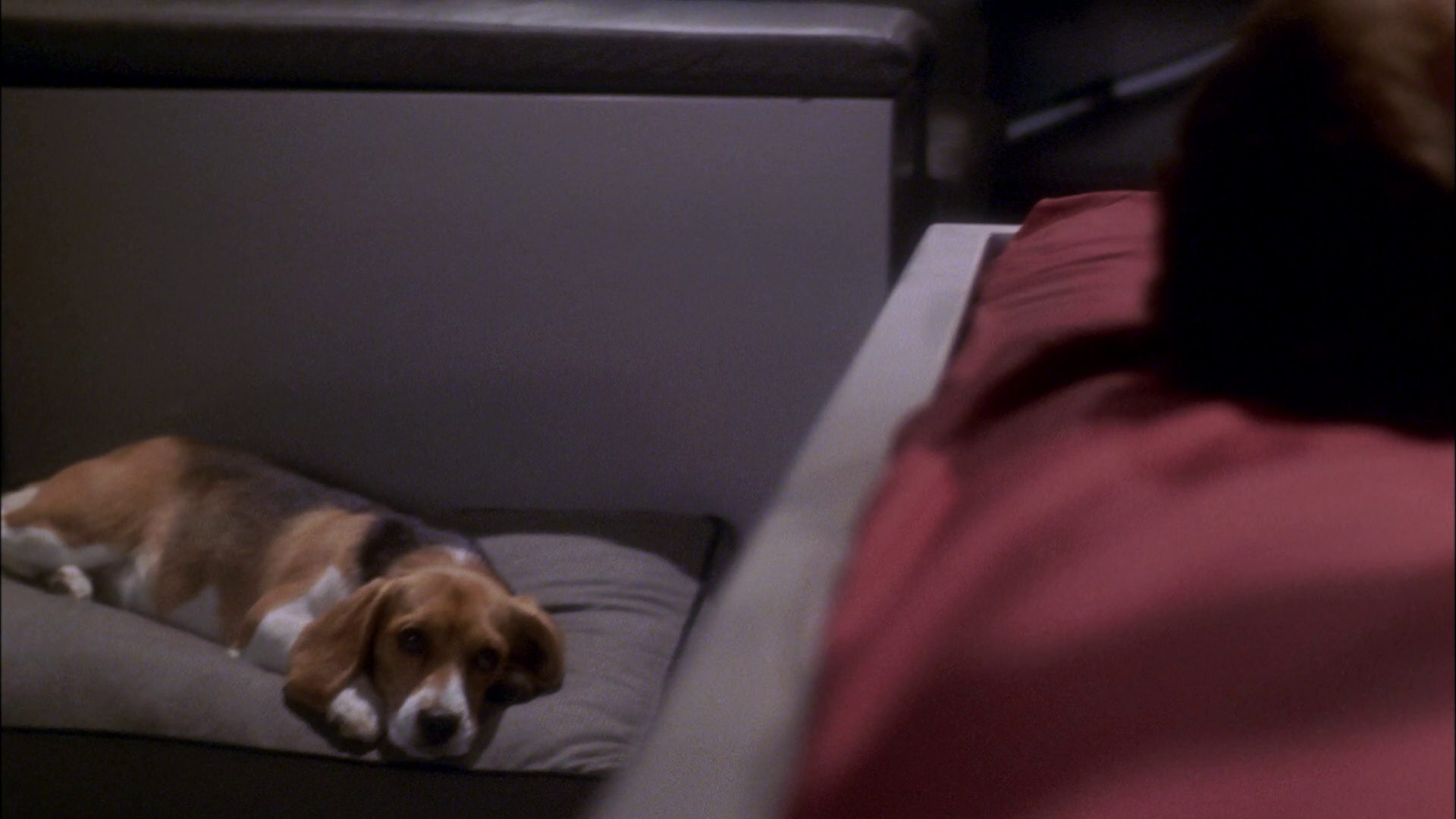 extant_StarTrek_ENT_1x26-_ShockwavePart1_0991.jpg