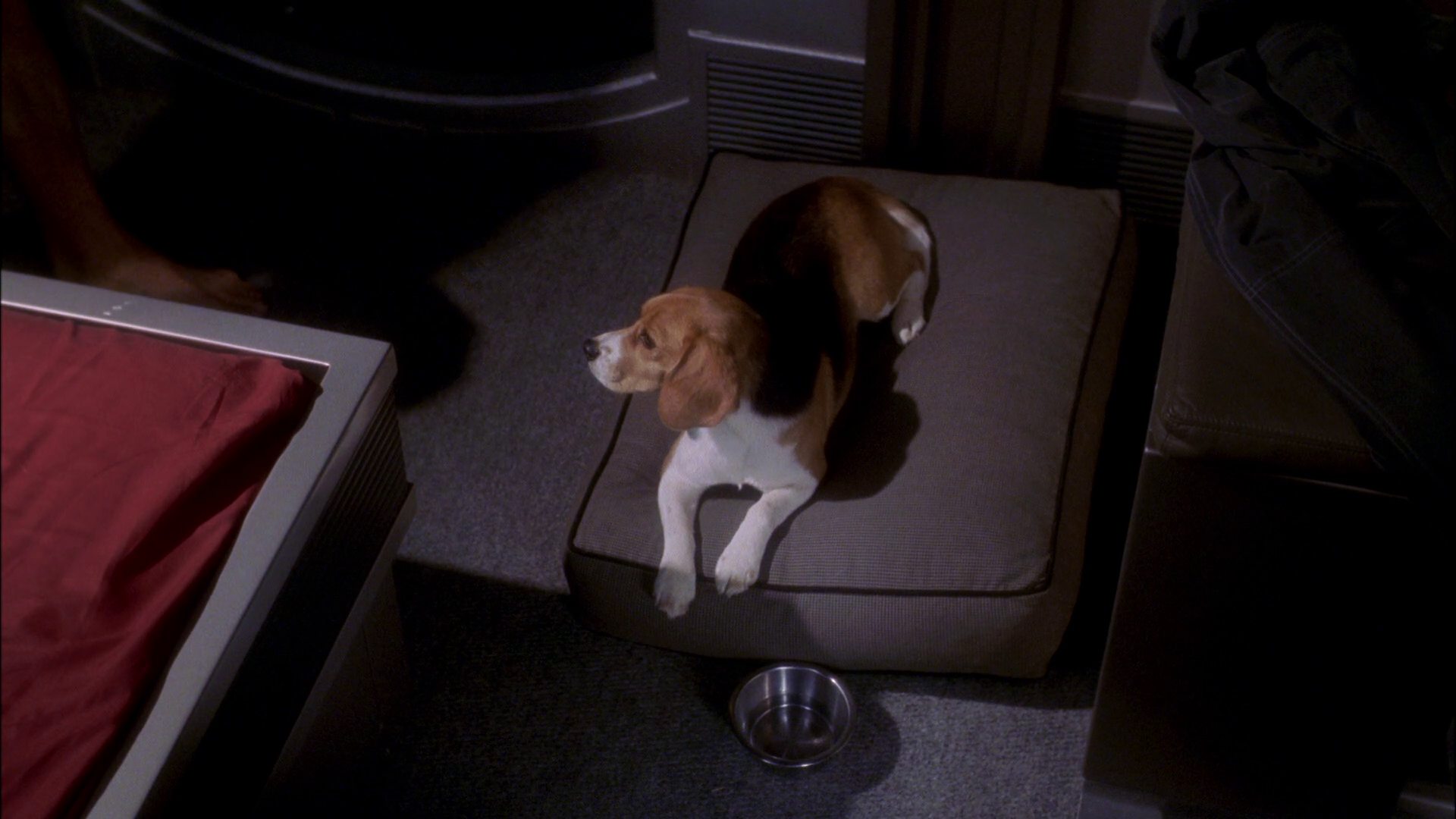 extant_StarTrek_ENT_1x26-_ShockwavePart1_1303.jpg
