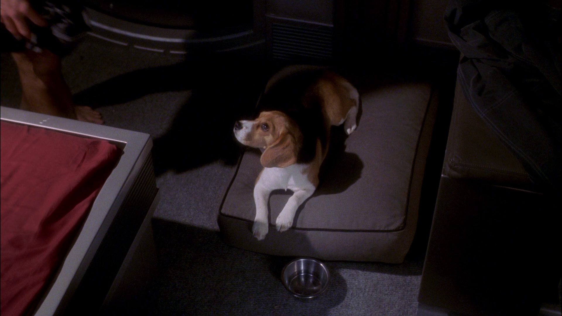extant_StarTrek_ENT_1x26-_ShockwavePart1_1304.jpg