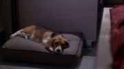 Filename=extant_StarTrek_ENT_1x26-_ShockwavePart1_0989.jpg
Filesize=168KiB
Dimensions=1920x1080
Date added=May 31, 2020 extant_StarTrek_ENT_1x26-_ShockwavePart1_0989.jpg