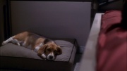 extant_StarTrek_ENT_1x26-_ShockwavePart1_0990.jpg