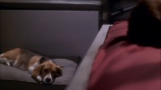 extant_StarTrek_ENT_1x26-_ShockwavePart1_0991.jpg