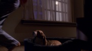Filename=extant_StarTrek_ENT_1x26-_ShockwavePart1_1379.jpg
Filesize=138KiB
Dimensions=1920x1080
Date added=May 31, 2020 extant_StarTrek_ENT_1x26-_ShockwavePart1_1379.jpg