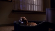 extant_StarTrek_ENT_1x26-_ShockwavePart1_1380.jpg